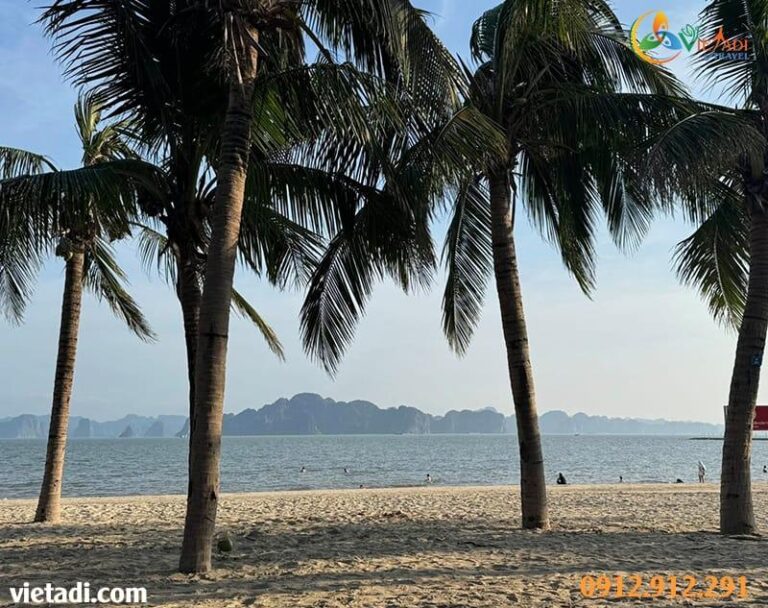 Du Lịch Ninh Bình